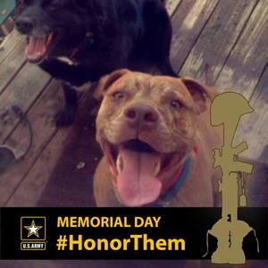 Meet your Posher, Jen